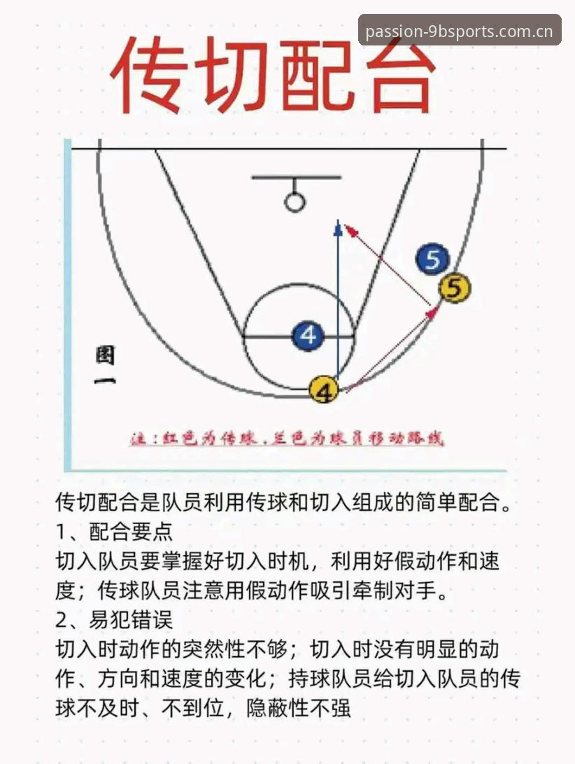 5个关键词读懂九博体育平台：从新手到老手的实战指南