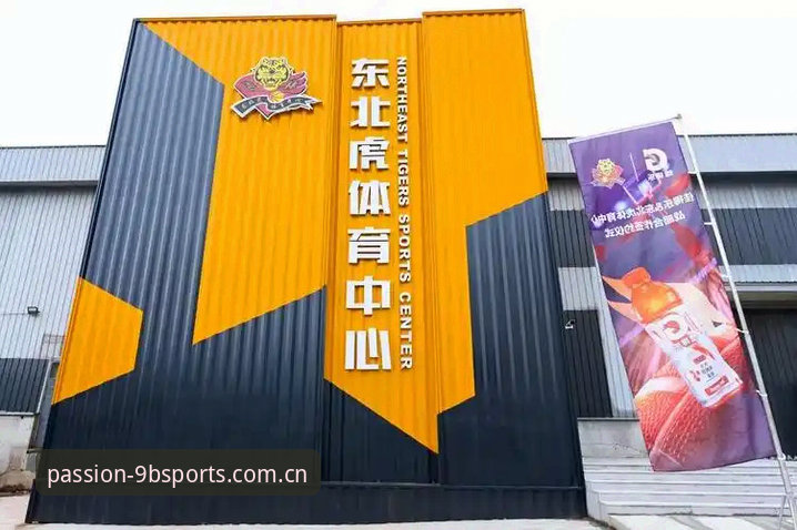 九博下载 九博下载如何改变体育赛事观赛体验?